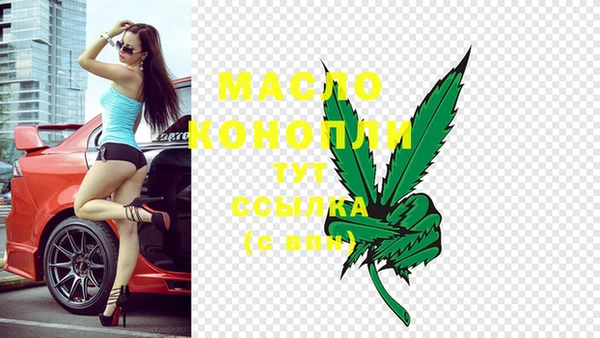 индика Лабытнанги